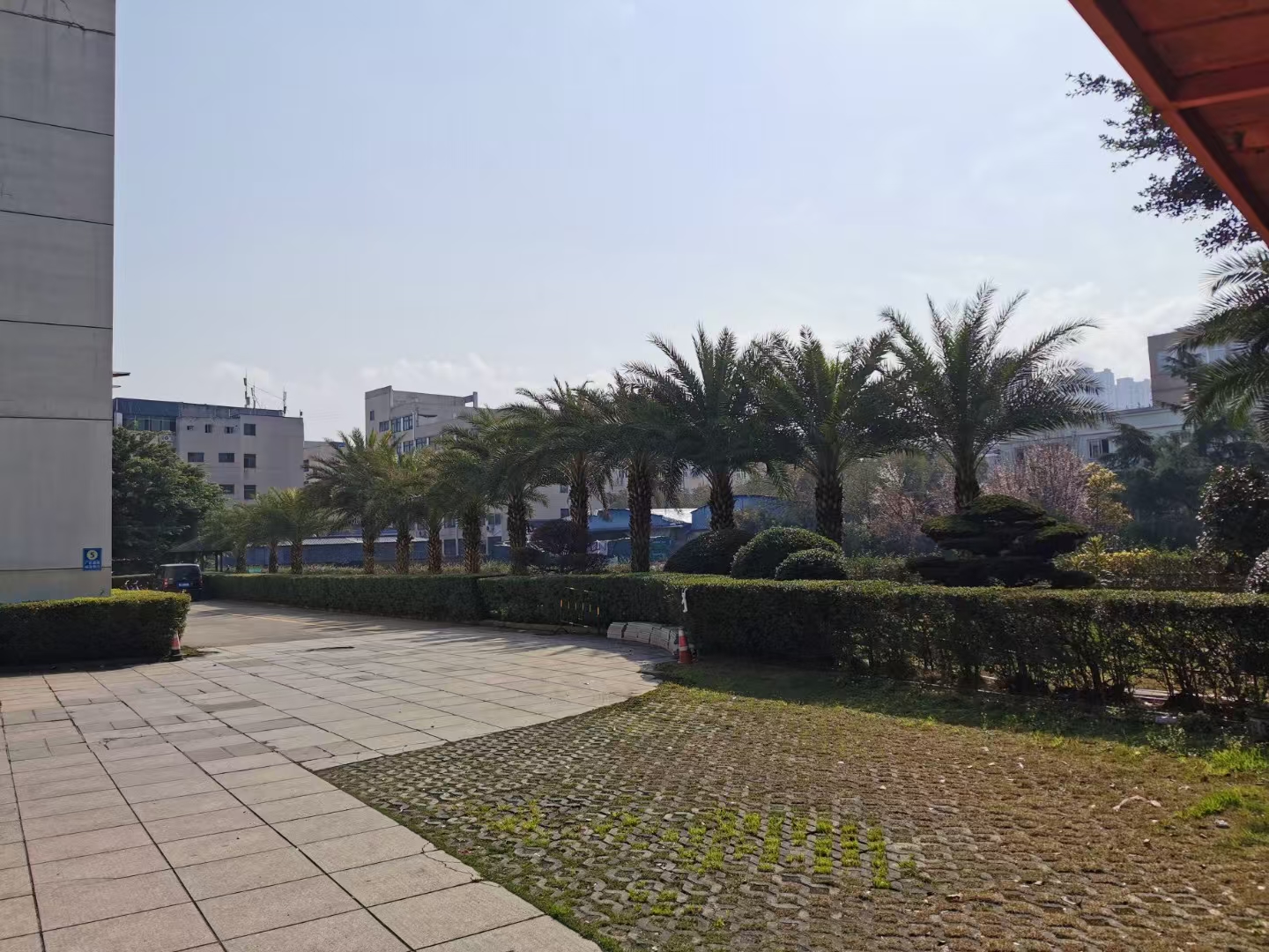 Yanxu factory campus environment