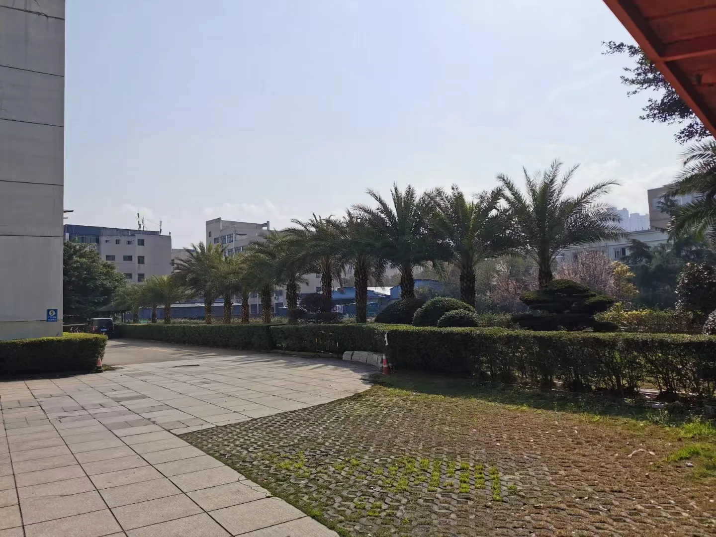 Yanxu factory campus environment